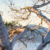 Fototapeet Licht des Südens SHX8-013
