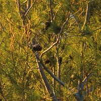 Fototapeet Licht des Südens SHX8-013