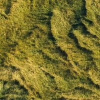 Fototapeet Eclipse SHX8-026