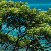 Fototapeet The Sea View SHX8-087