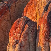 Fototapeet Bay of Fires SHX8-132