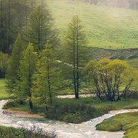 Fototapeet The Last Paradise SHX8-133