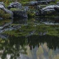 Fototapeet Allgäu Spiegel SHX9-002