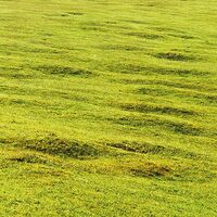 Fototapeet Bergwiese vor Karwendel SHX9-009