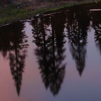 Fototapeet Between the Light SHX9-010