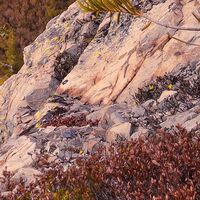 Fototapeet Between the Light SHX9-010