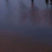 Fototapeet Between the Light SHX9-010