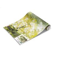 Fototapeet Der Traumbaum SHX9-020