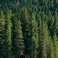 Fototapeet Dolomitenjuwel SHX9-021