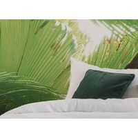 Fototapeet Dschungeldach II SHX9-024