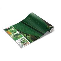 Fototapeet Dschungeldach II SHX9-024