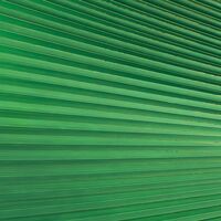 Fototapeet Dschungeldach SHX9-025