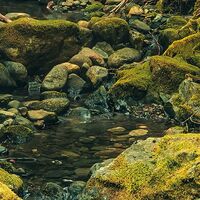 Fototapeet Elves Cathedral SHX9-028