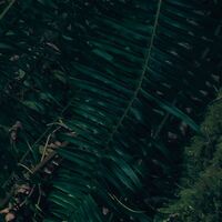 Fototapeet Elves Cathedral SHX9-028