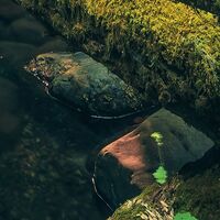 Fototapeet Elves Cathedral SHX9-028