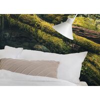 Fototapeet Elves Cathedral SHX9-028