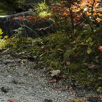 Fototapeet Feuerzungen SHX9-031