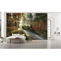 Fototapeet Feuerzungen SHX9-031 (Stefan Hefele v.2)