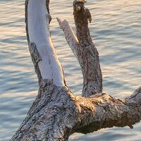 Fototapeet Final Light SHX9-032