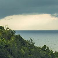 Fototapeet Garten der Versuchung SHX9-036