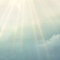 Fototapeet Garten der Versuchung SHX9-036