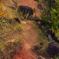 Fototapeet Garten der Versuchung SHX9-036