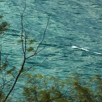 Fototapeet Garten der Versuchung SHX9-036