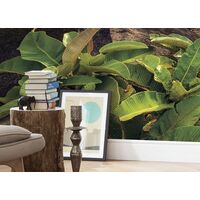 Fototapeet Garten der Versuchung SHX9-036