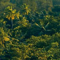 Fototapeet Golden Air SHX9-039