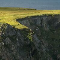 Fototapeet Green Ireland SHX9-040