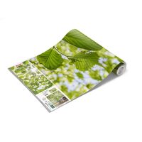 Fototapeet Im Frühlingswald SHX9-045