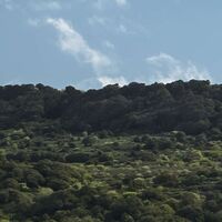 Fototapeet Kuhparadies SHX9-051