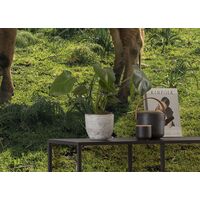 Fototapeet Kuhparadies SHX9-051