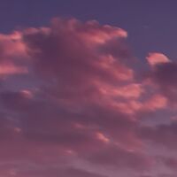 Fototapeet Lavender Dream SHX9-052