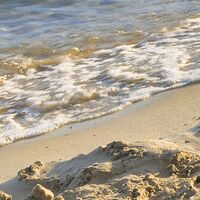 Fototapeet Lonely Paradise SHX9-053