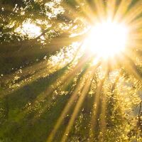 Fototapeet Lonely Paradise SHX9-053