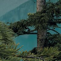 Fototapeet Magic Moraine Morning SHX9-054