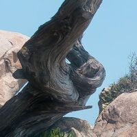 Fototapeet Mediterrane Träume SHX9-056