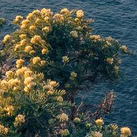 Fototapeet Mediterranes Spektakel SHX9-057