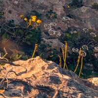 Fototapeet Mediterranes Spektakel SHX9-057