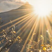 Fototapeet Norwegische Herbstwelten SHX9-060