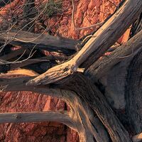 Fototapeet Paradiso II SHX9-066