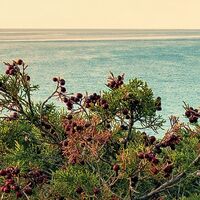 Fototapeet Paradiso II SHX9-066