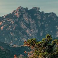 Fototapeet Paradiso II SHX9-066