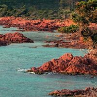 Fototapeet Paradiso II SHX9-066