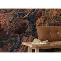 Fototapeet Paradiso II SHX9-066