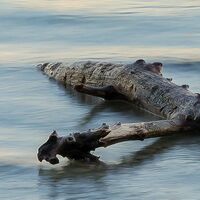 Fototapeet Pastell SHX9-067