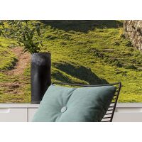 Fototapeet Picos de Europe Alm SHX9-068