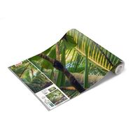 Fototapeet Piratenversteck SHX9-070