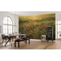 Fototapeet Poppy World SHX9-071 (Stefan Hefele v.2)